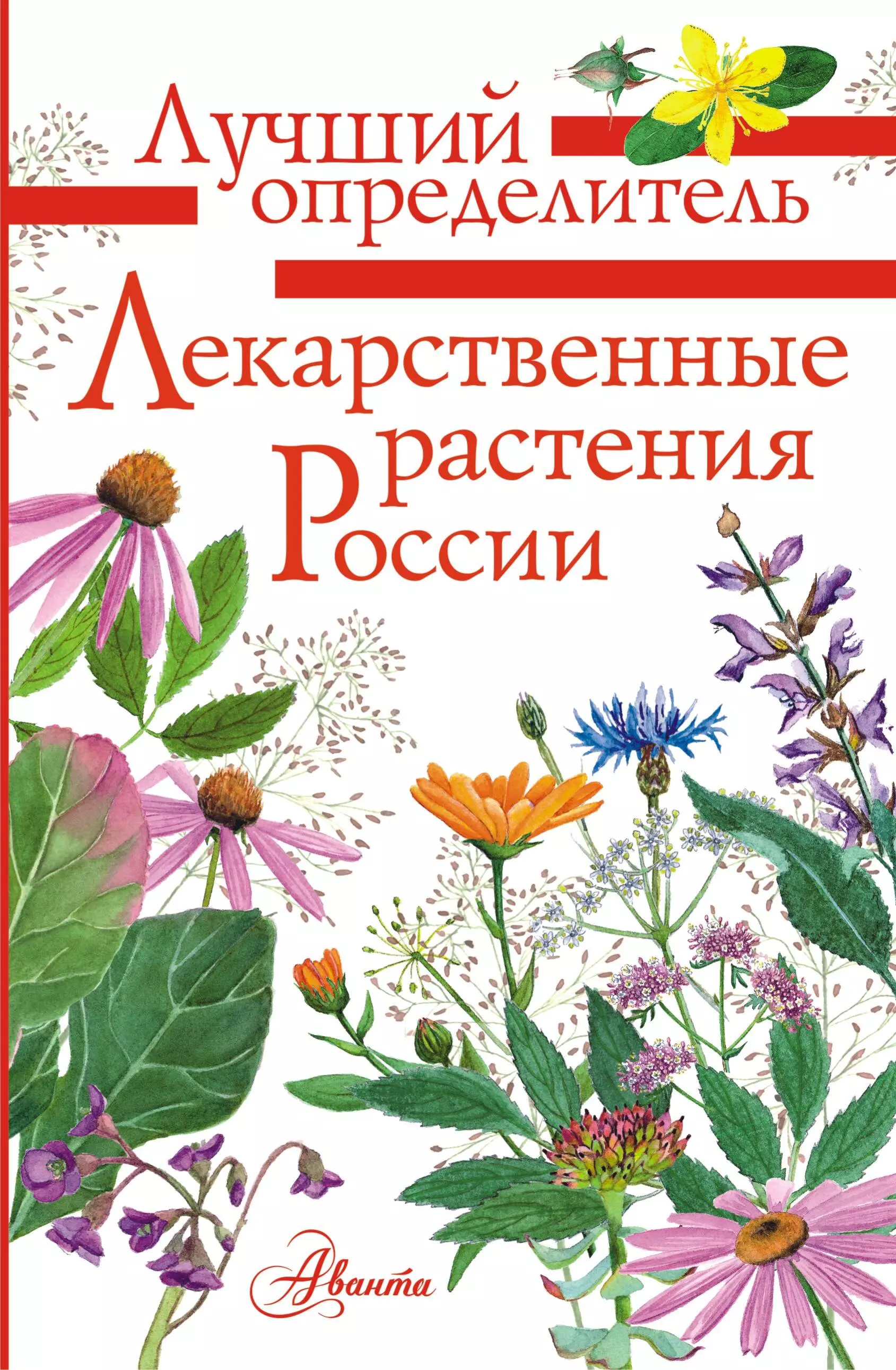 Лекарственные растения России соловьева вера андреевна лекарственные растения россии карманный справоч