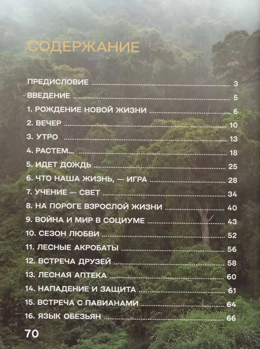 Жизнь и приключения шимпанзе в тропическом лесу (Василий Климов) - купить  книгу с доставкой в интернет-магазине «Читай-город». ISBN: 978-5-60-507196-9