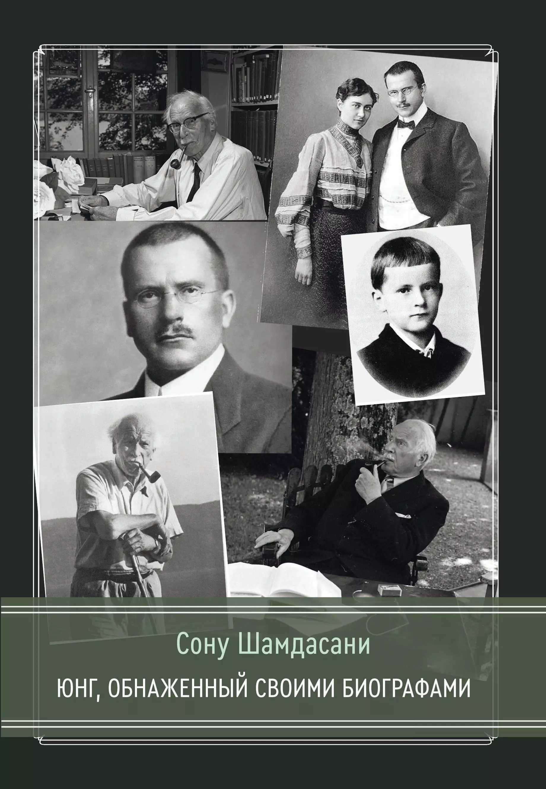 Шамдасани Сону Юнг, обнаженный своими биографами