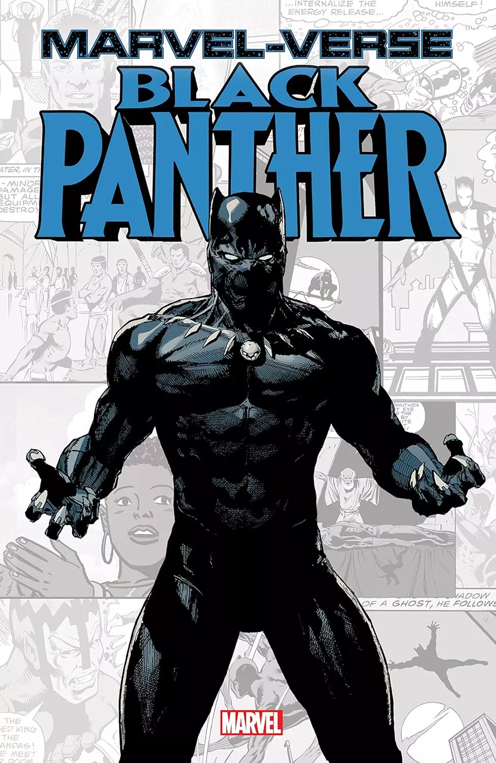 Marvel-Verse: Black Panther