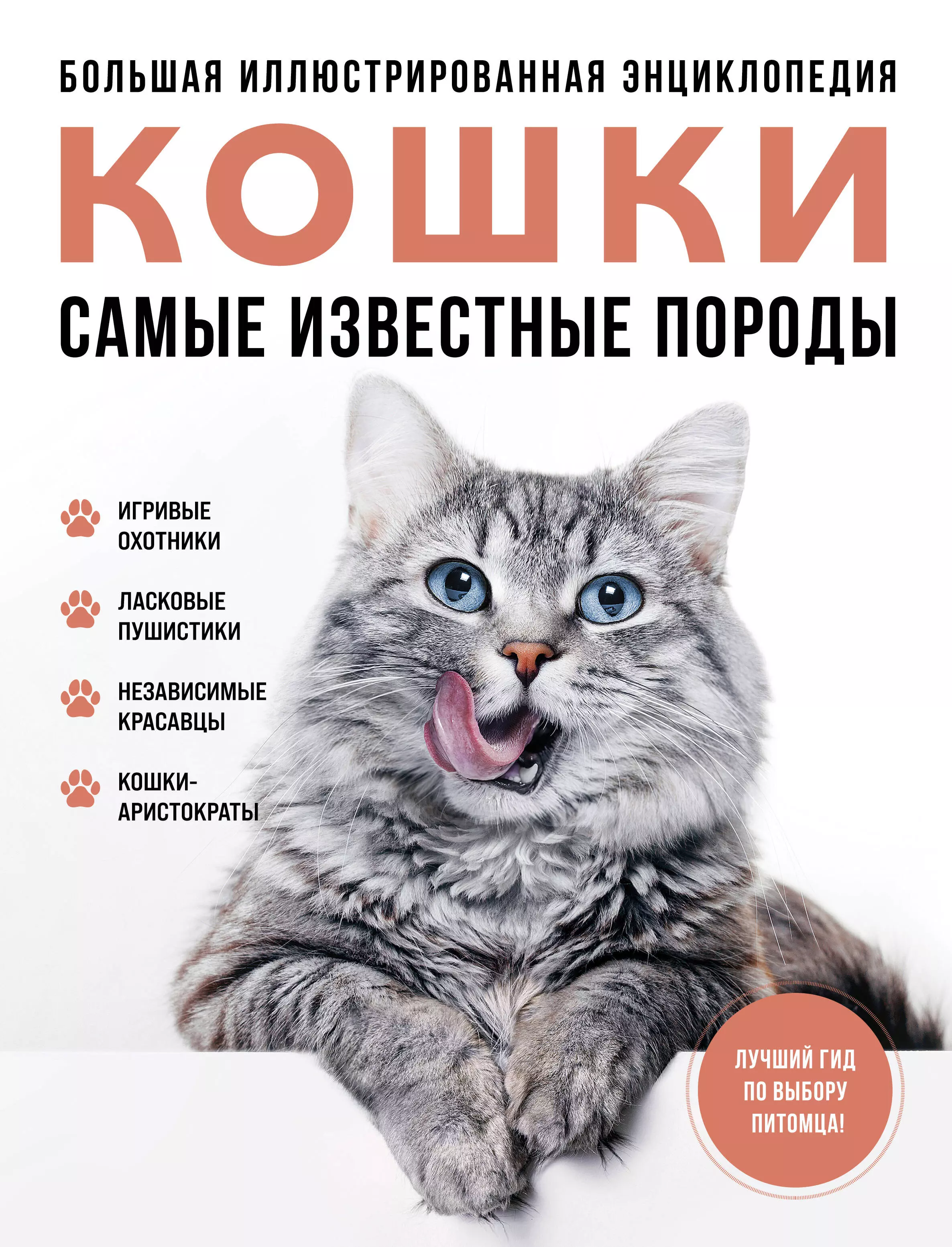 None Кошки. Самые известные породы. Большая иллюстрированная энциклопедия