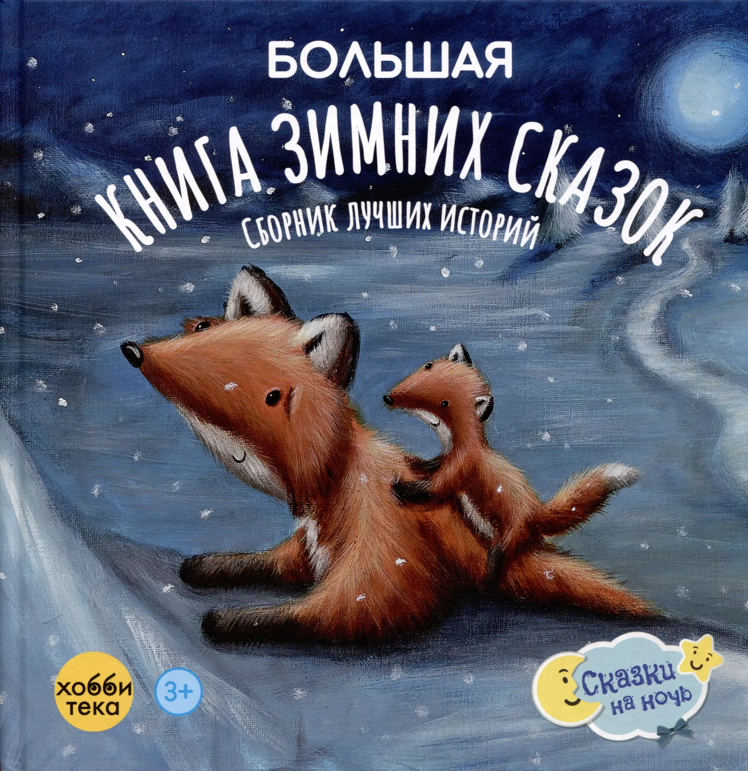 None Большая книга зимних сказок