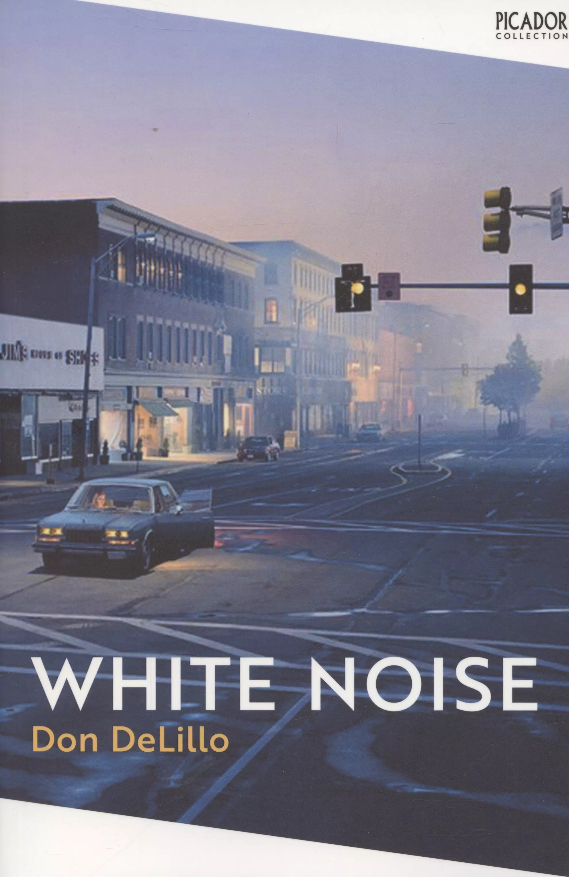 DeLillo Don White Noise / Белый шум (На английском языке)