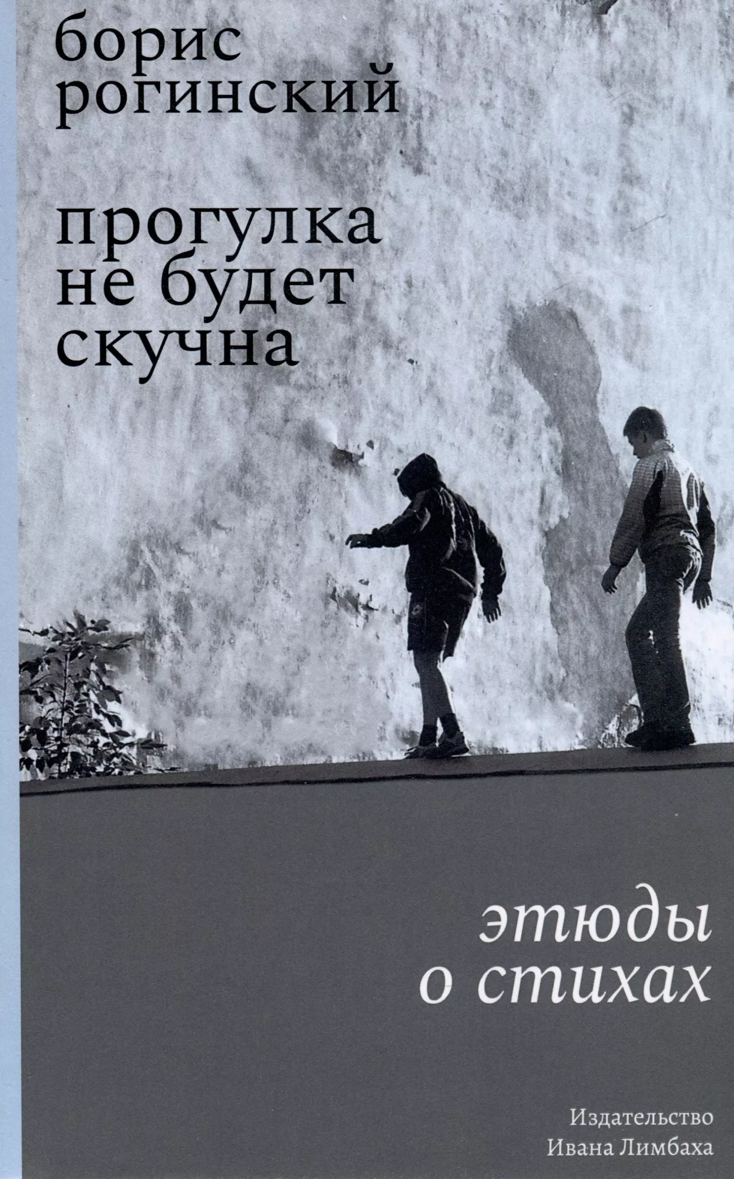 Рогинский Борис Арсеньевич Прогулка не будет скучна. Этюды о стихах