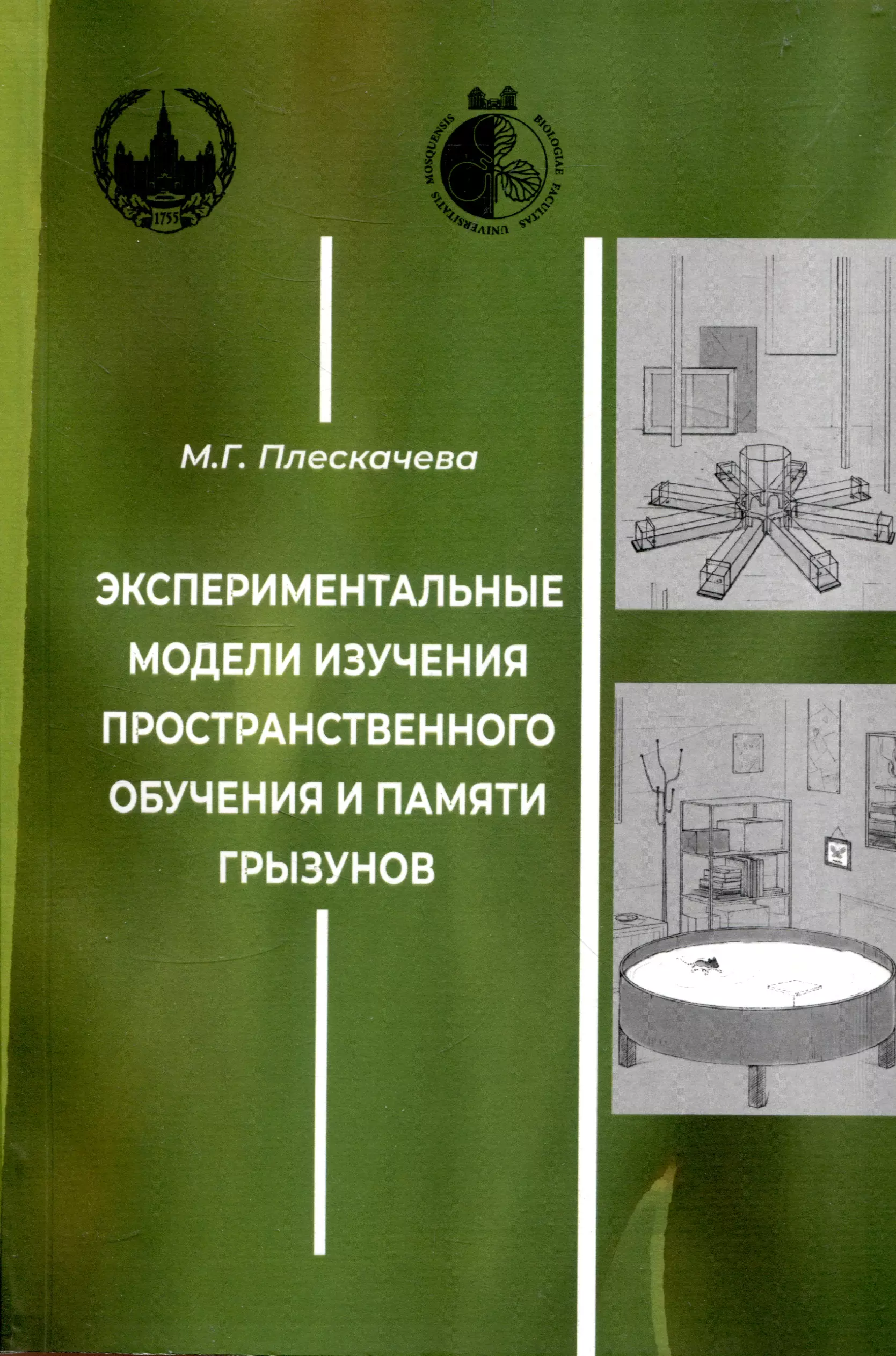 Экспериментальные модели изучения пространственного обучения и памяти грызунов