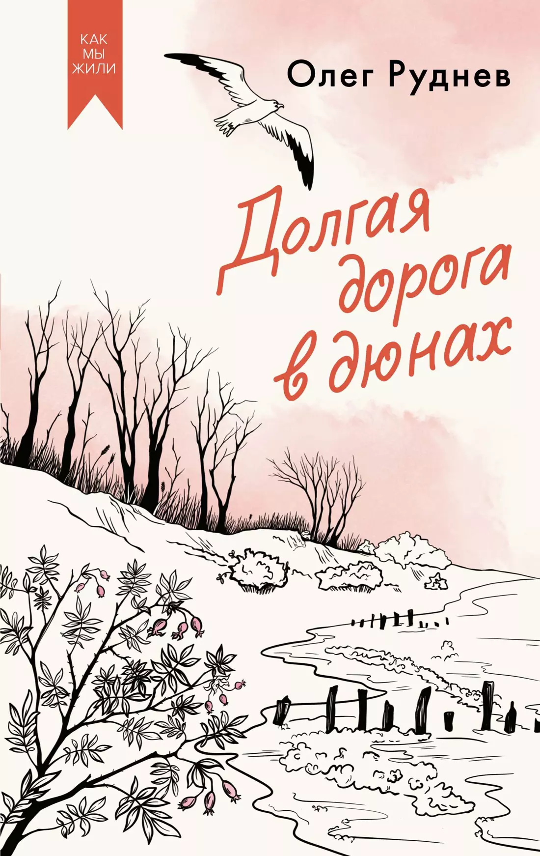 Руднев Олег Александрович Долгая дорога в дюнах