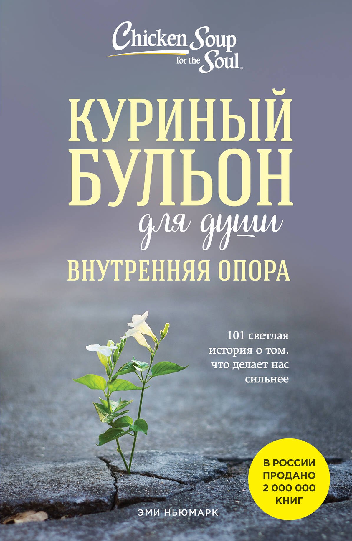 

Куриный бульон для души. Внутренняя опора. 101 светлая история о том, что делает нас сильнее