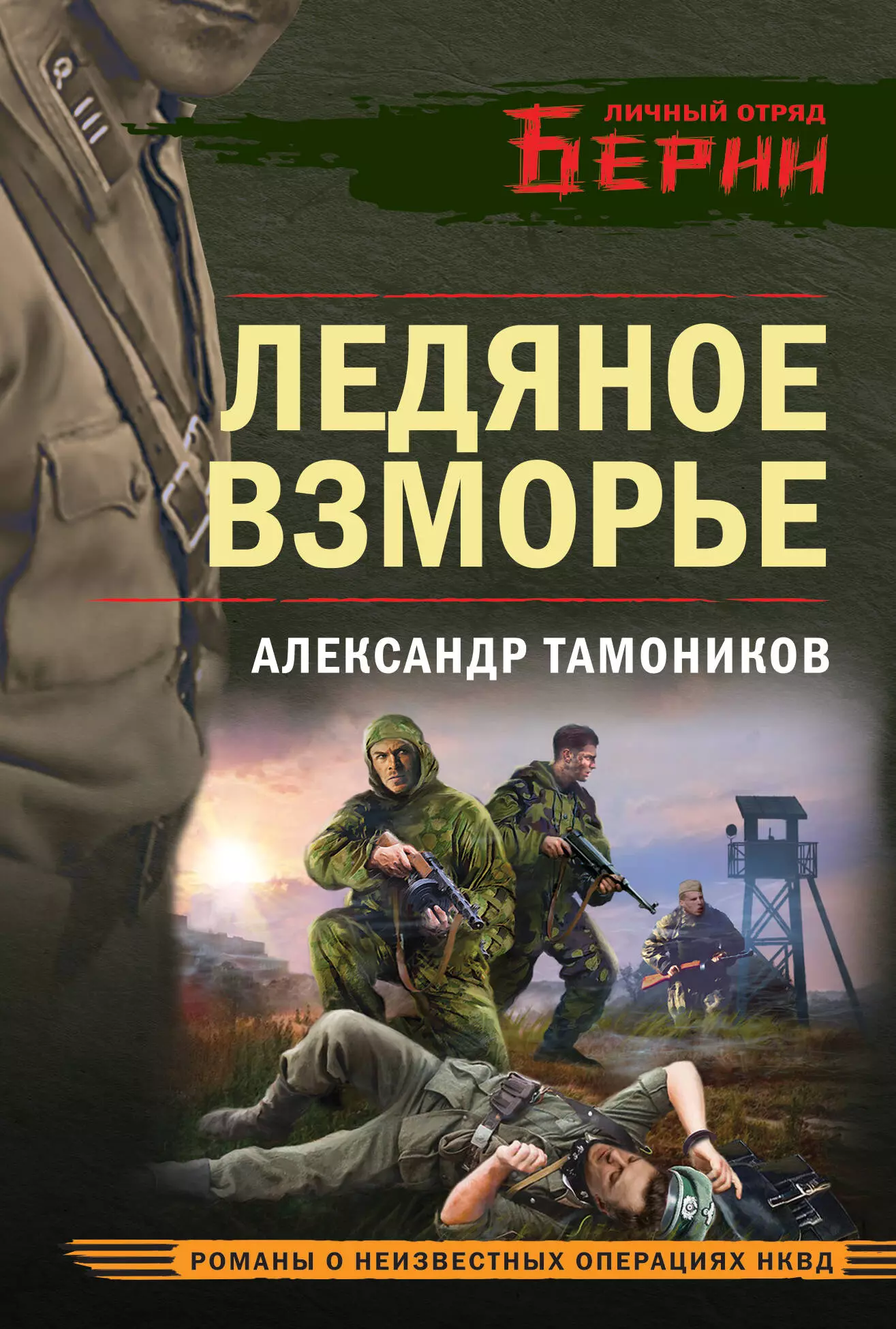 Тамоников Александр Александрович Ледяное взморье