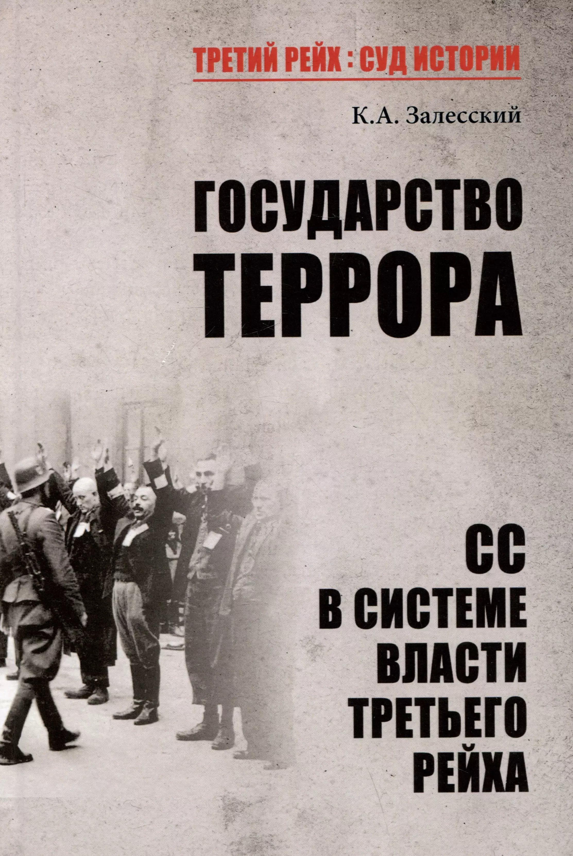 Залесский Константин Александрович Государство террора. СС в системе власти Третьего рейха