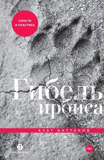 

Гибель ирбиса: Спасти и спастись
