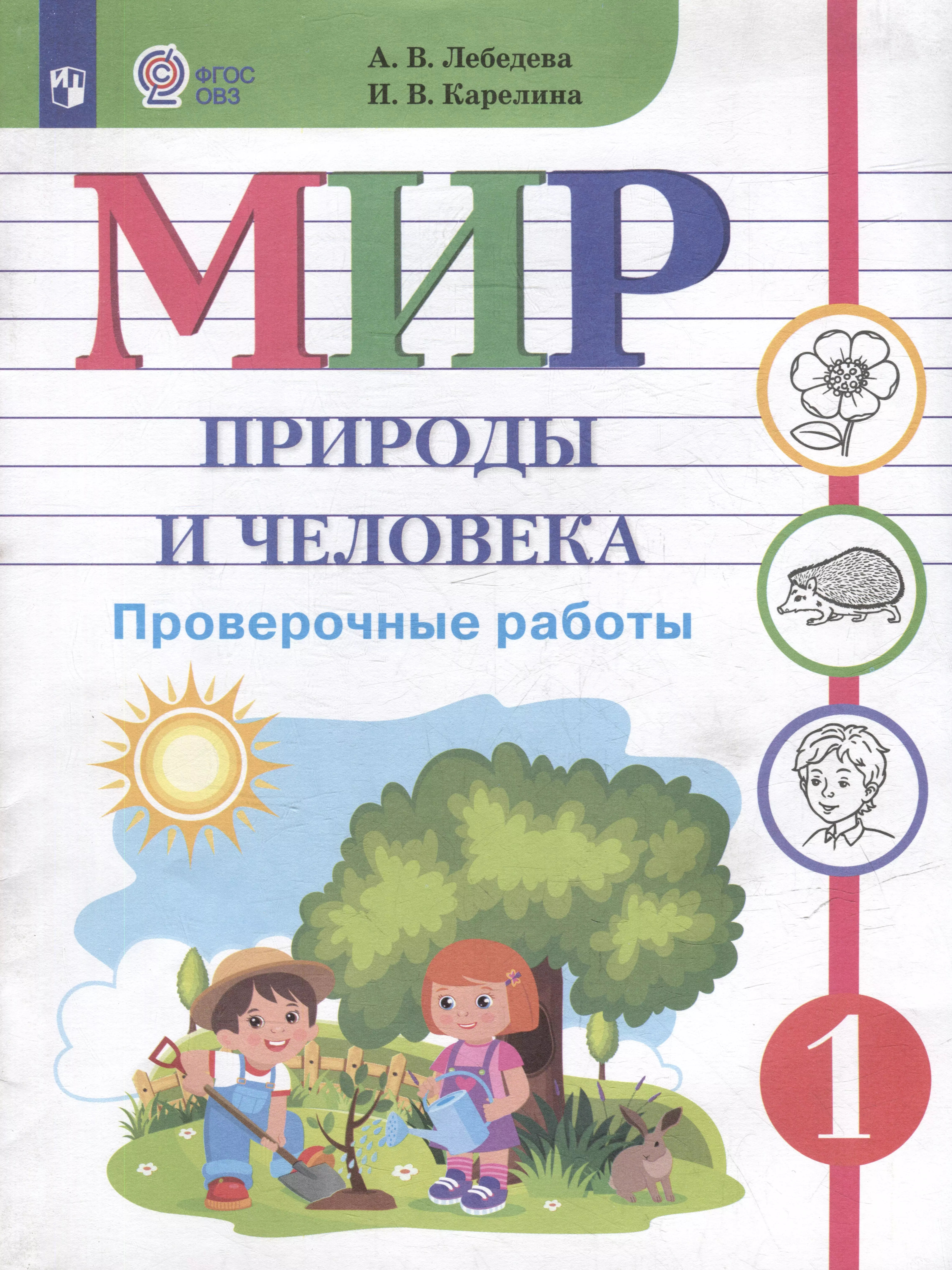 Мир природы и человека. 1 класс. Проверочные работы (для обучающихся с интеллектуальными нарушениями)