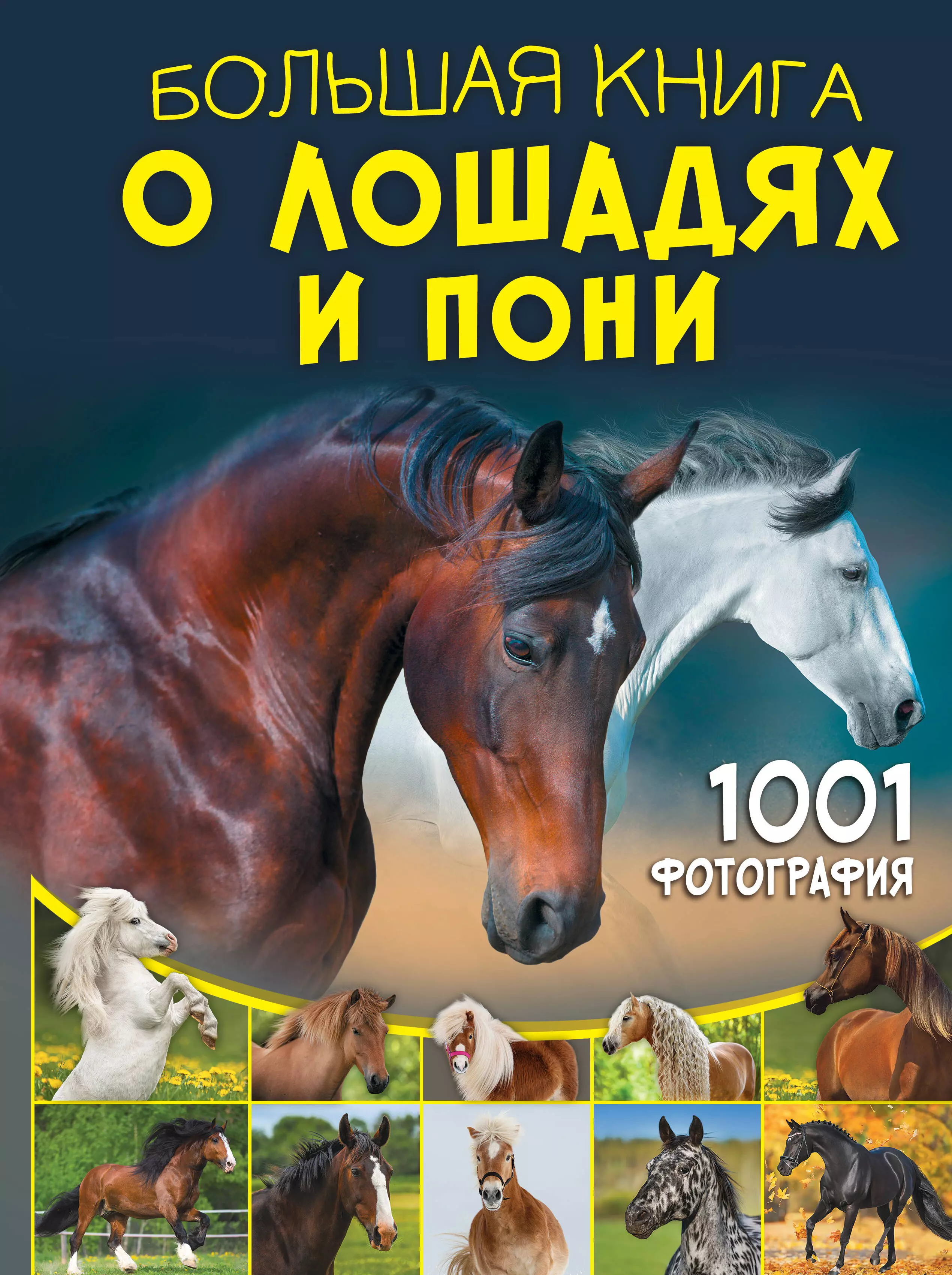 Спектор Анна Артуровна Большая книга о лошадях и пони. 1001 фотография