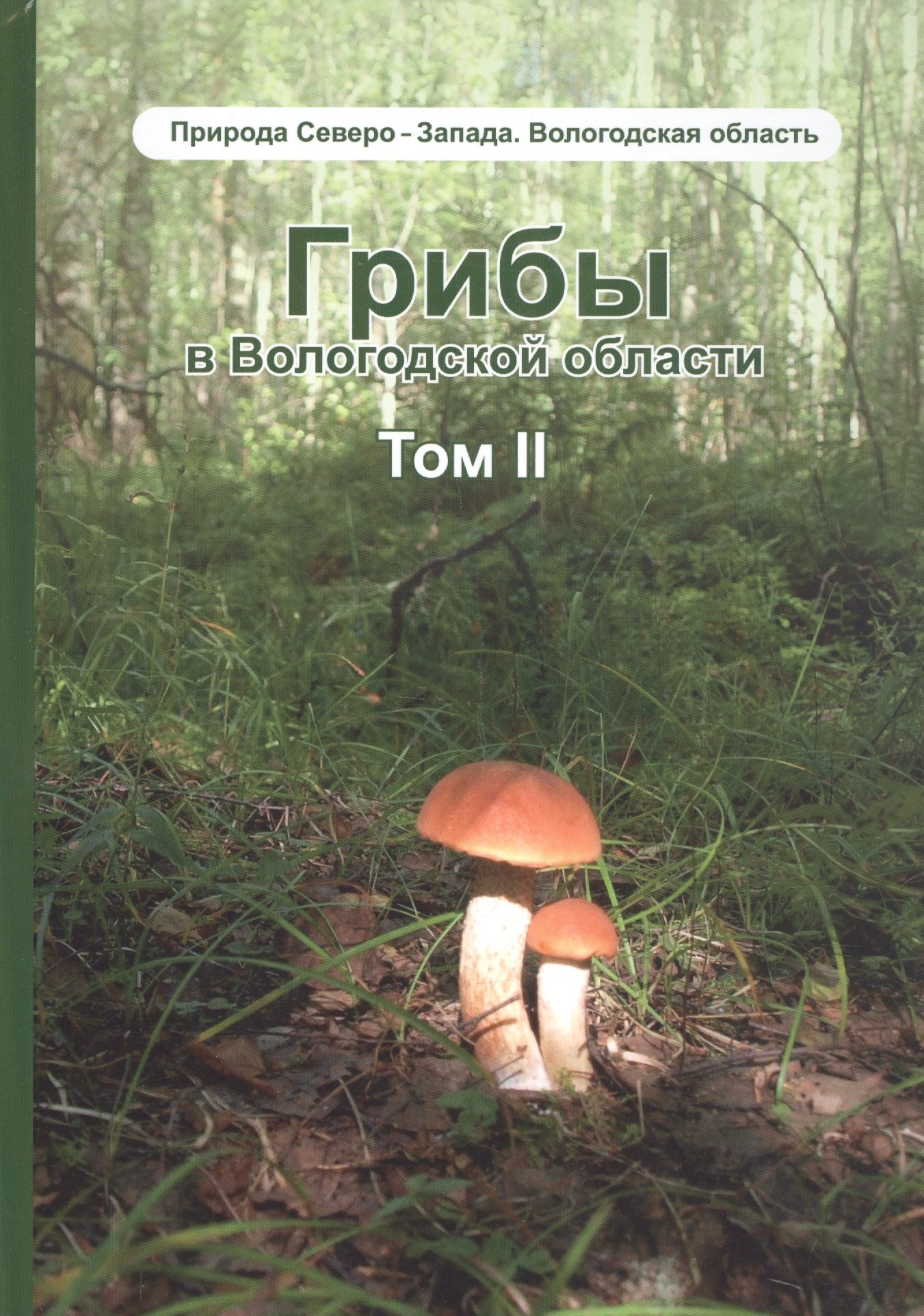 мекк е л будник н р грибы в вологодской обласмти том 2 сопоставление похожих грибов Мекк Елена, Будник Николай Роальдович Грибы в Вологодской области. Том 2: Сопоставление похожих грибов