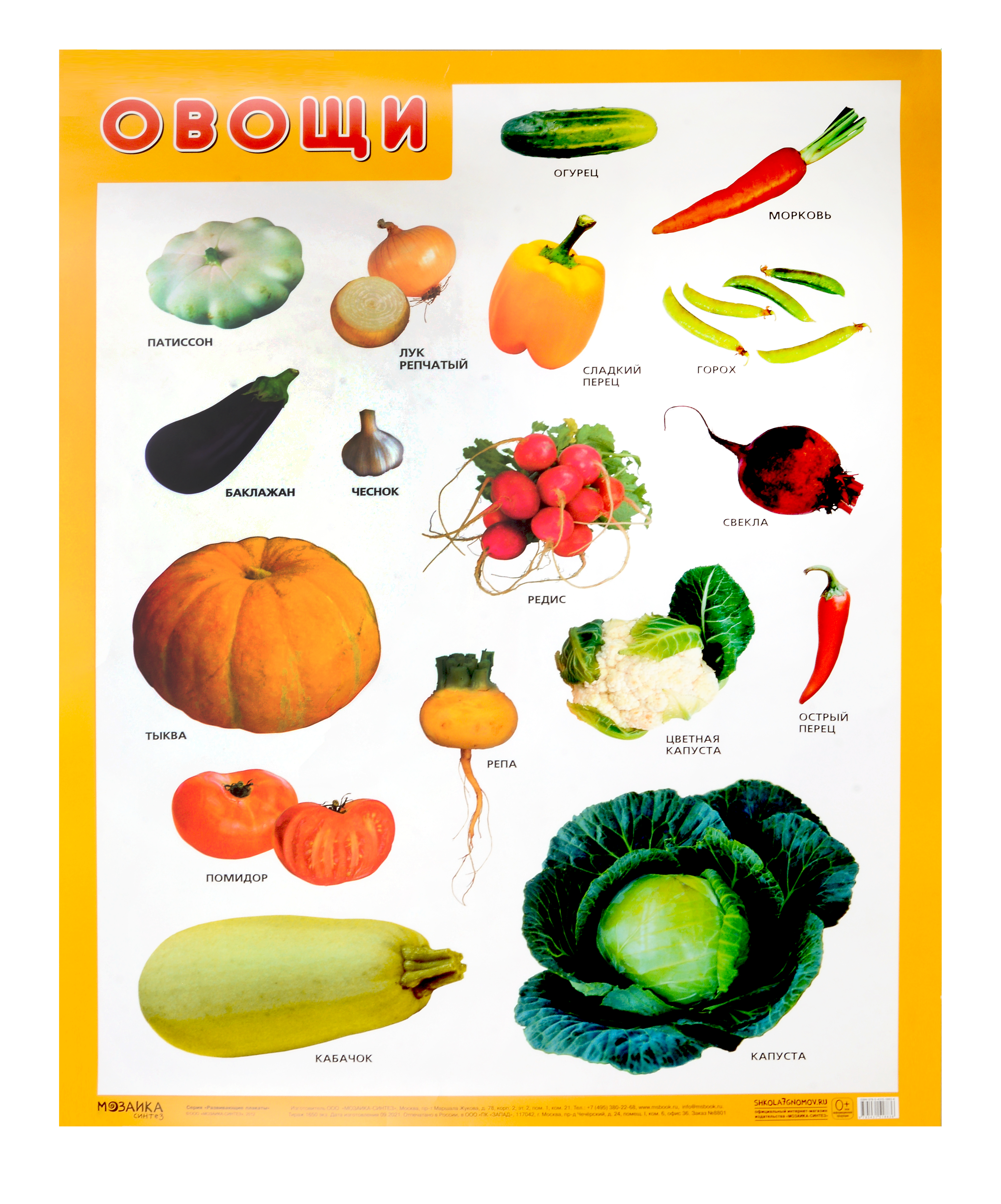 Развивающие плакаты. Овощи развивающие плакаты счет до 20