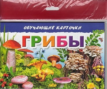 

Грибы/европодвес