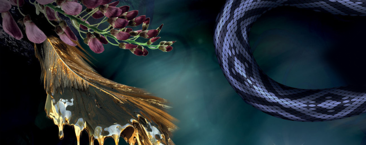 Королевство воронов