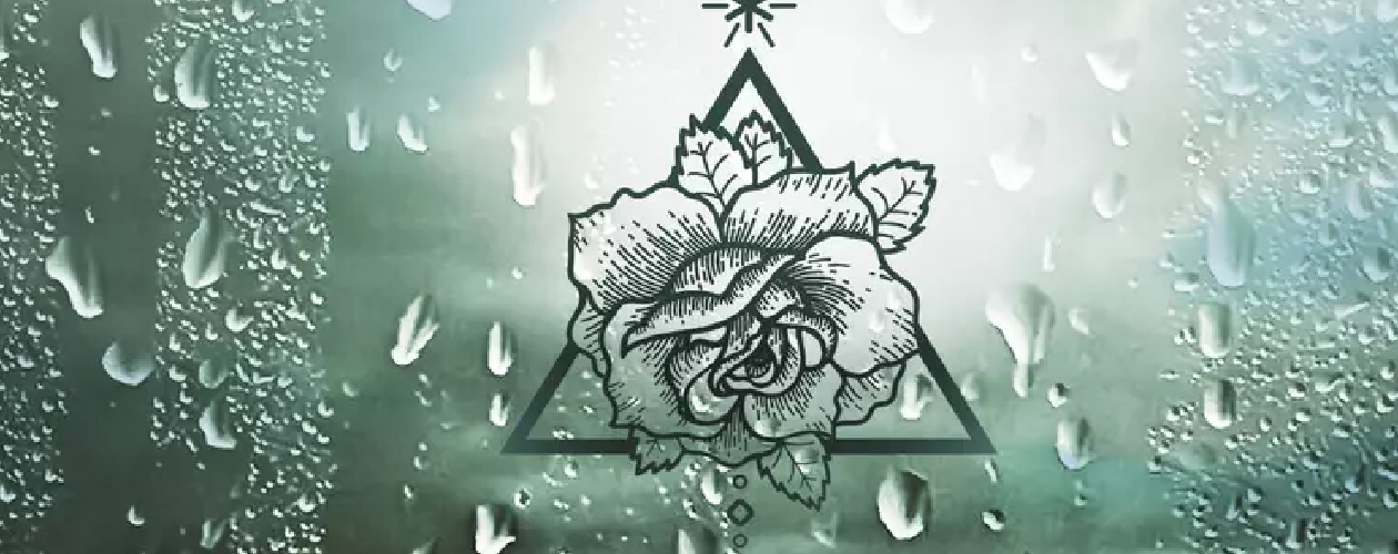 Штормовая трилогия (Sturm-Trilogie) все книги цикла по порядку 📖 купить в Читай-городе