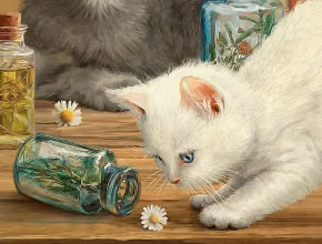 Мы выпишем вам кошку