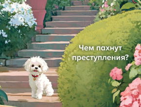 Детективы для хорошего настроения Дарьи Калининой 