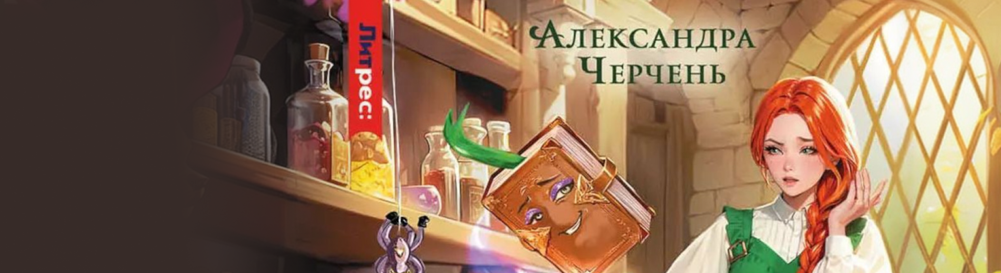 Хозяйка магической лавки