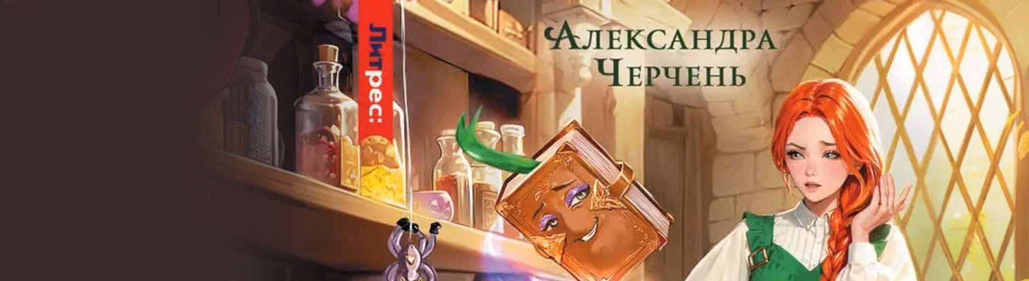 Хозяйка магической лавки