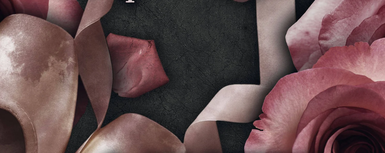 Звёзды хоккея