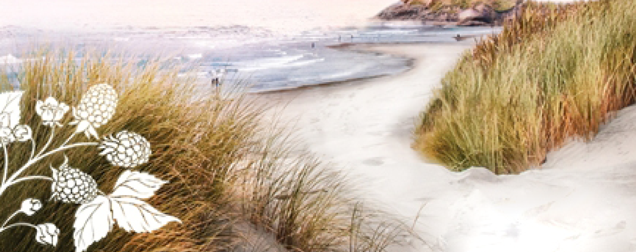 Ежевичный остров