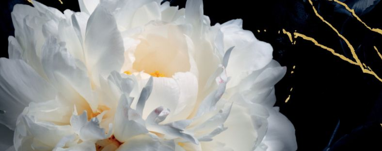 В оковах выбора все книги цикла по порядку 📖 купить в Читай-городе