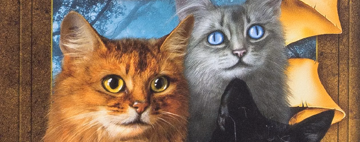 Коты-воители все книги цикла по порядку 📖 купить в Читай-городе