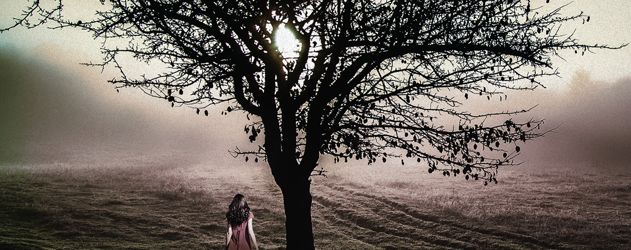 Дэвид Хантер