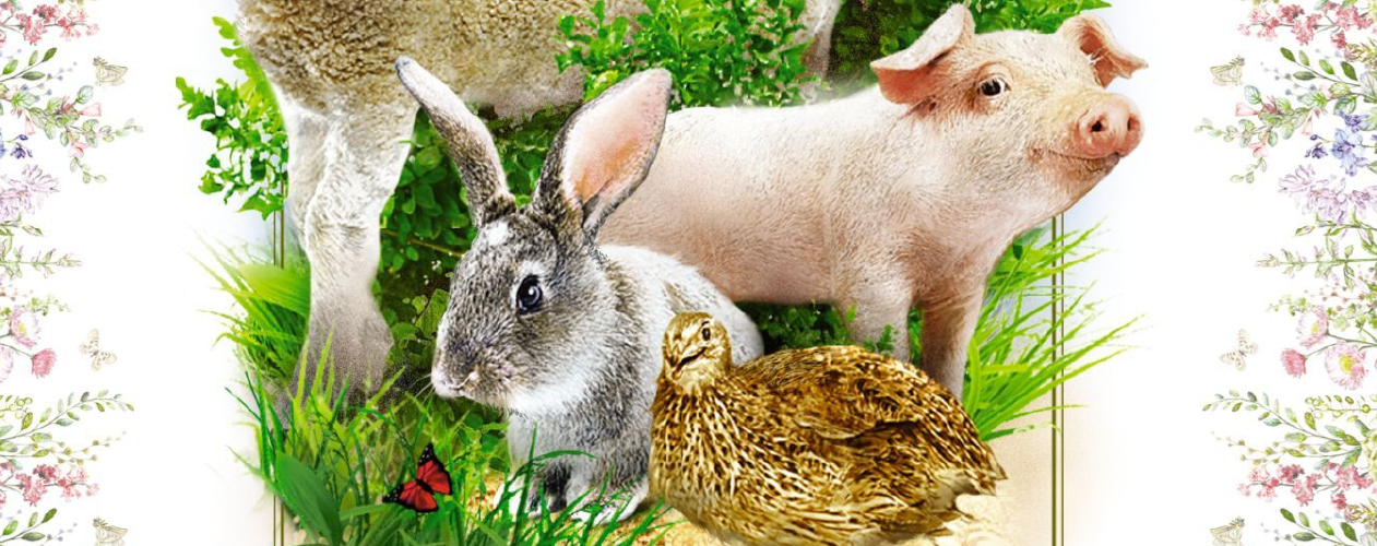 Записки ветеринарного врача