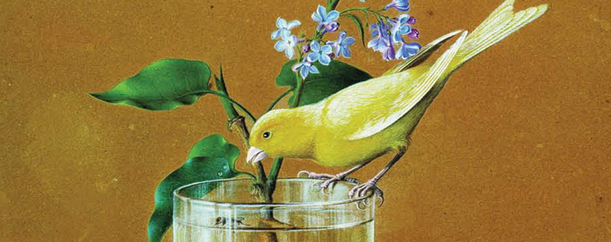 Русская канарейка