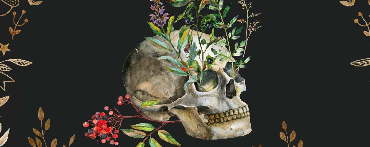 Мемуары Ведьмы