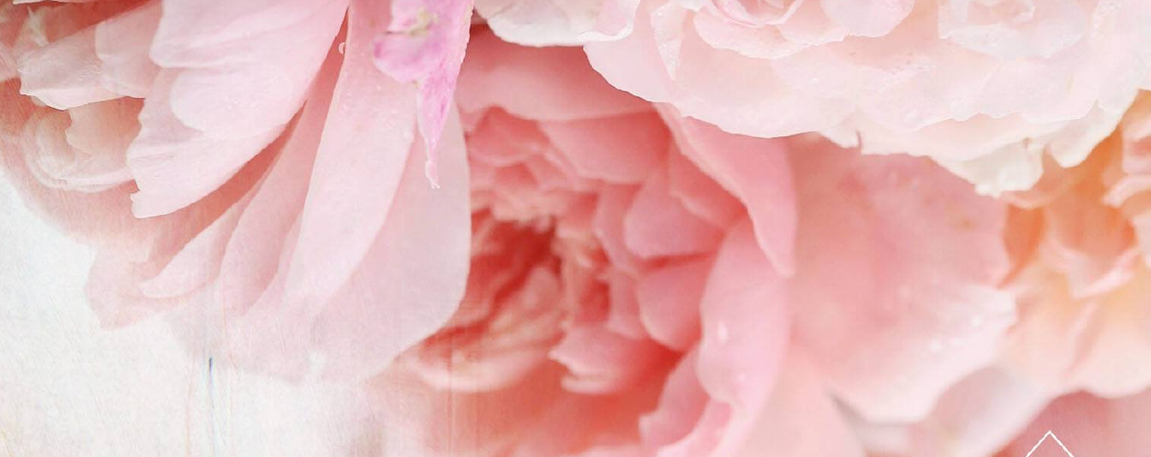 Красавицы Бостона