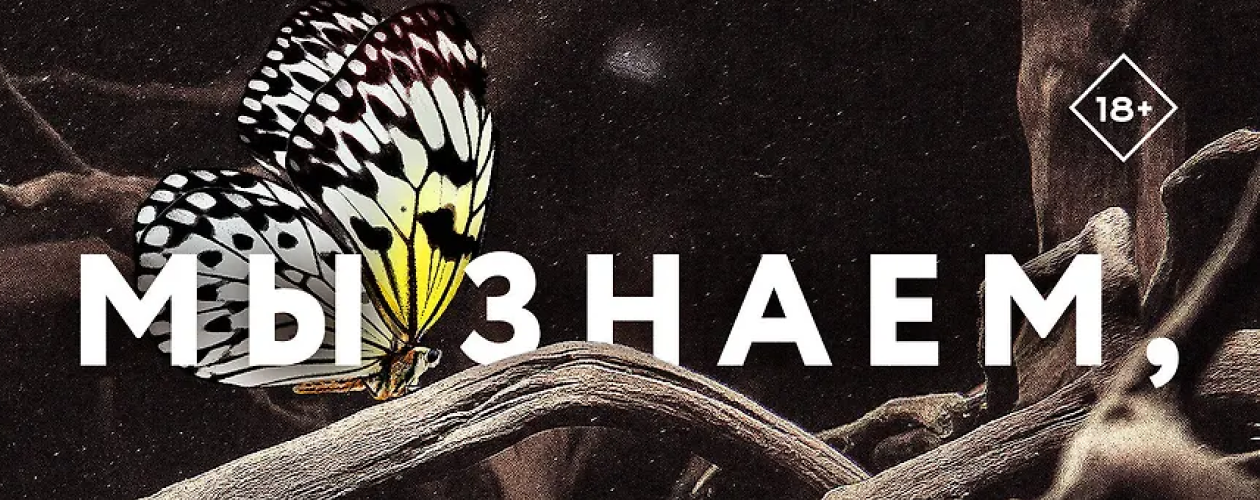 Эйра Шьёдин