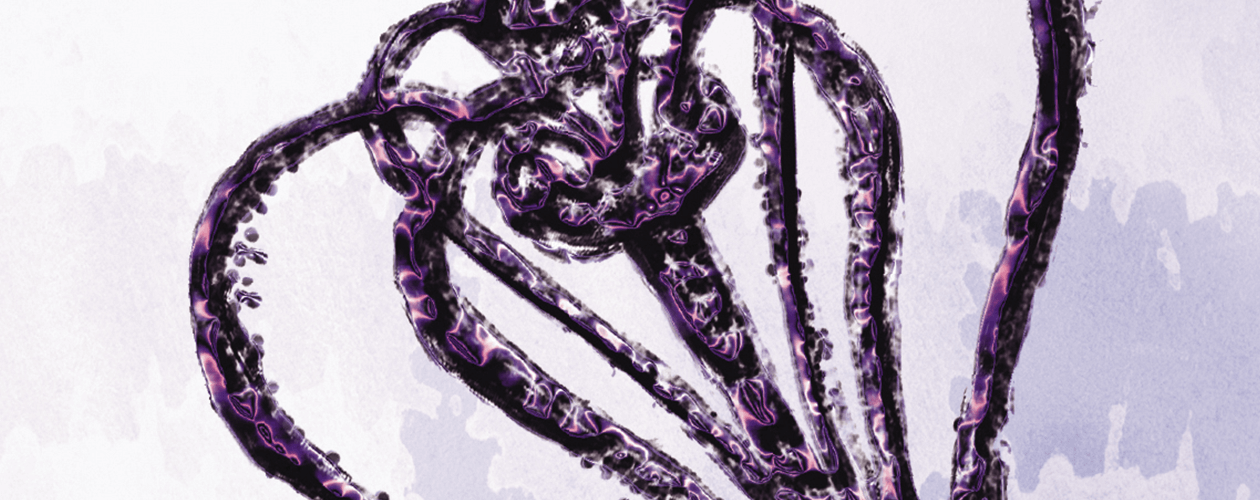 Семья Ройалов