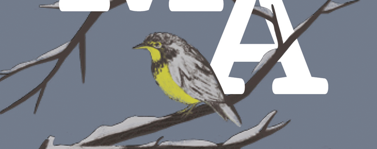 Сезонный цикл