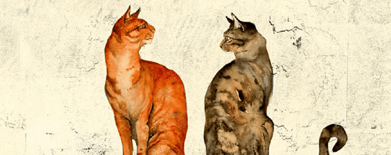 Мир Элдерлингов. Сага о Шуте и Убийце