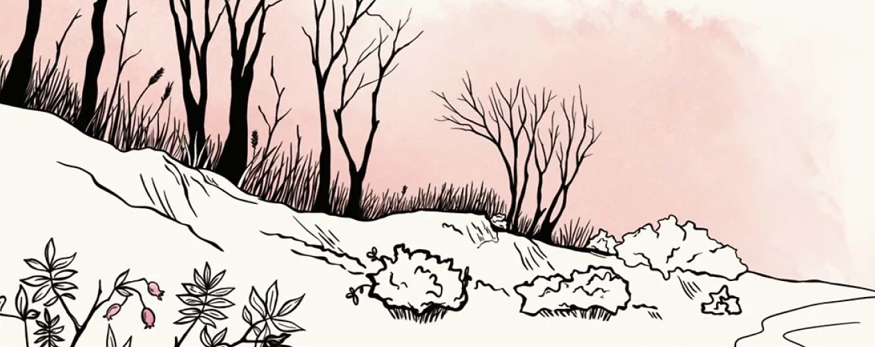 Долгая дорога в дюнах