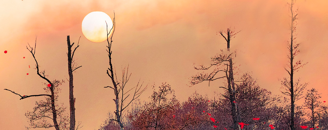 Себастиан Бергман все книги цикла по порядку 📖 купить в Читай-городе