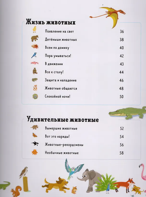 Книга 1000 животных (Аньес Бессон) — 3