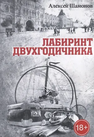 Книга Лабиринт двухгодичника ()