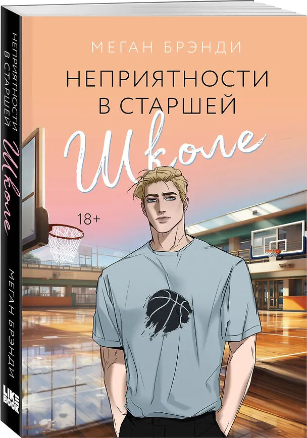 Книга Неприятности в старшей школе (Меган Брэнди) — 4