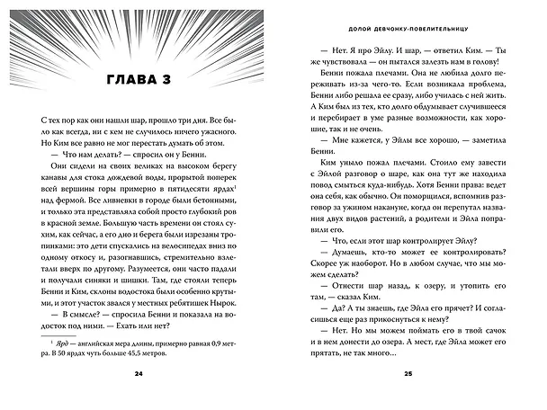 Книга Долой девчонку-повелительницу (Гарт Никс) — 12