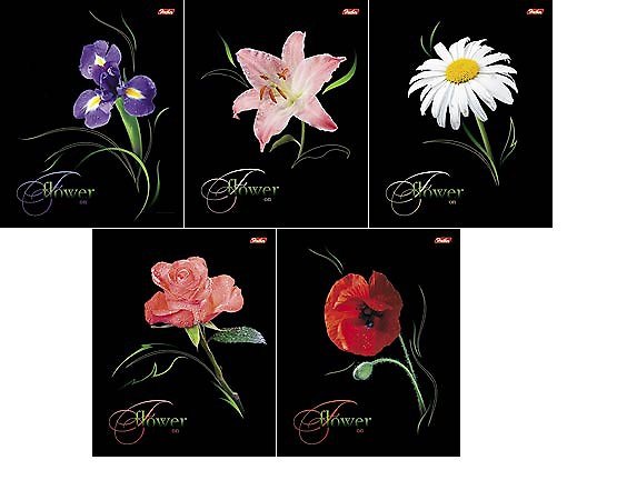 Тетрадь 80л кл. "Flowers on black" выб.лак, ассорти, Hatber 222542 — 1
