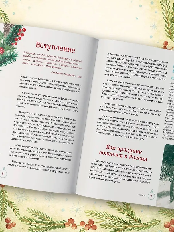 Книга Русский Новый год. От царского стола до советских застолий (Юлия Евдокимова) — 11