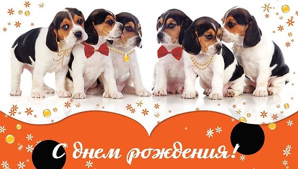 Конверт для денег С Днем рождения! Щенки [РЕ221-00042] 357457 — 1