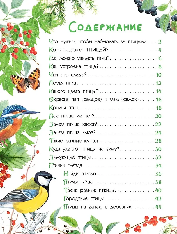Книга Птицы (Мария Рахчеева) — 13