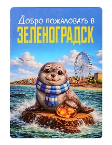 Магнит декоративный Нерпа и янтарь (Калининград) (70х100мм) (FH072)