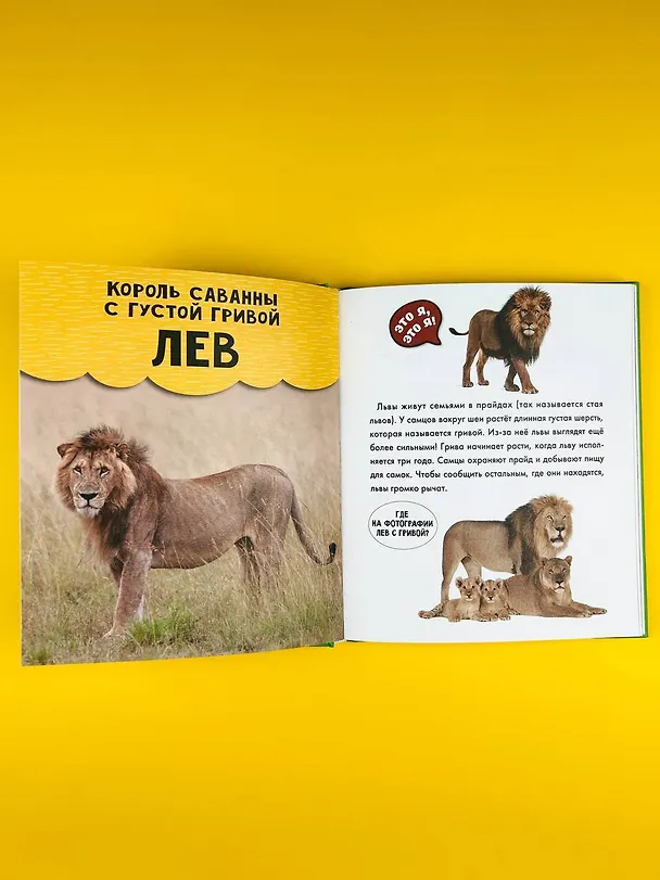Книга Животные () — 10
